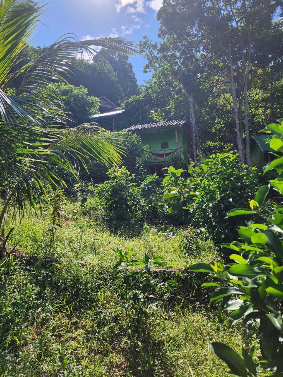 Sweet Jungle Camping Kaoh Touch Ngoại thất bức ảnh